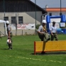 Bezirksbewerb 2014 in Roitham